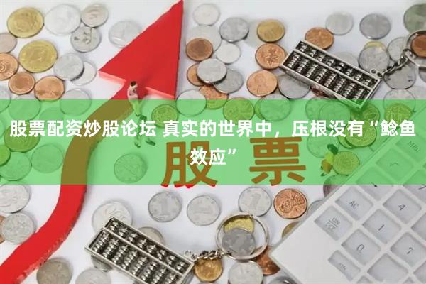 股票配资炒股论坛 真实的世界中，压根没有“鲶鱼效应”